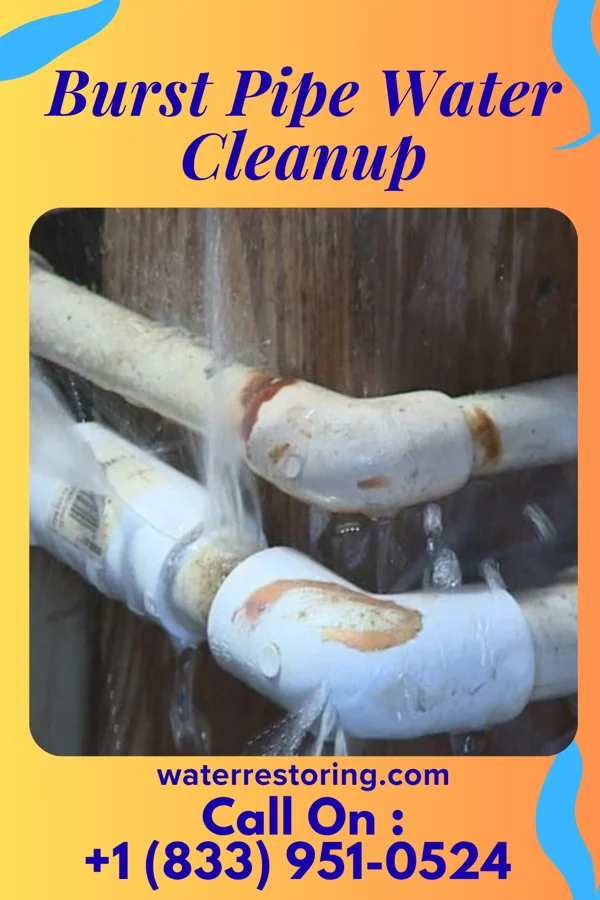 Burst Pipe Water Cleanup in Santa Rosa, AZ