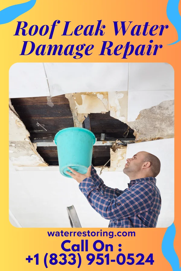 Roof Leak Water Damage Repair in Santa Rosa, AZ